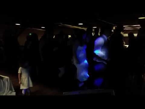 Sacramento DJ Service video.