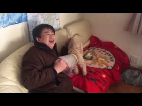会計学科 愛犬やまと100パーセント！木村勝則滋賀県高島市！