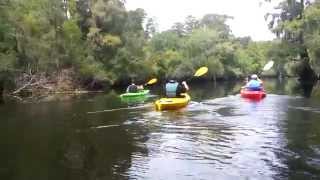 preview picture of video 'Kayaking Hillsborough River at Trout Creek park'