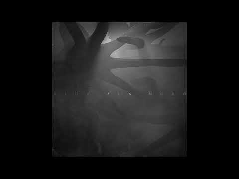 Blut Aus Nord - Lovecraftian Echoes [Full Album] (2022)