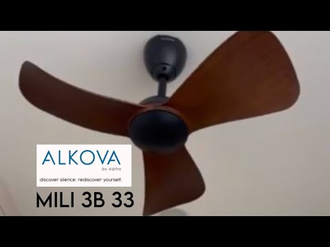 Alkova by Alpha Mili 33 inch in Walnut/Matt black