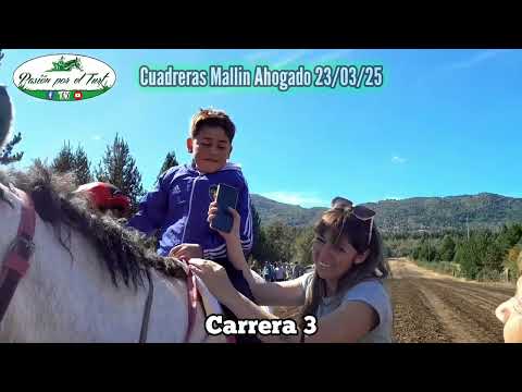 Passion for the Turf - Cuadreras Mallin Drowned 03/23/25. Chapter 105