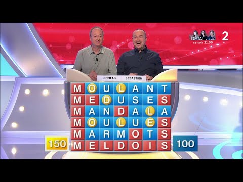 Motus du 14/01/19 - Intégrale