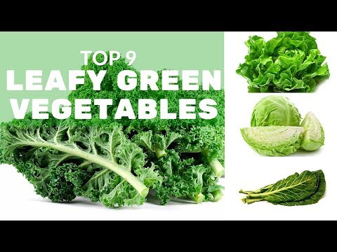 Top 9 leafy green vegetables and why you should eat them