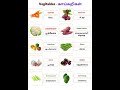 Carrot Beetroot Garlic More Vegetable Names In English With Tamil Meaning