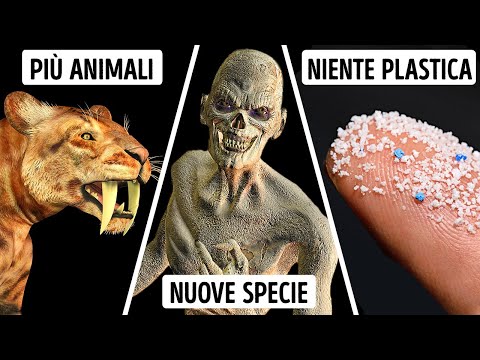 Quale Animale Dominerebbe La Terra Se Non Ci Fossero Gli Umani?