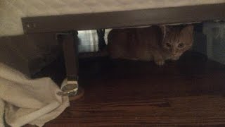 'Poltergeist' that mysteriously trashed couple's home turns out to be meth addict who was hiding