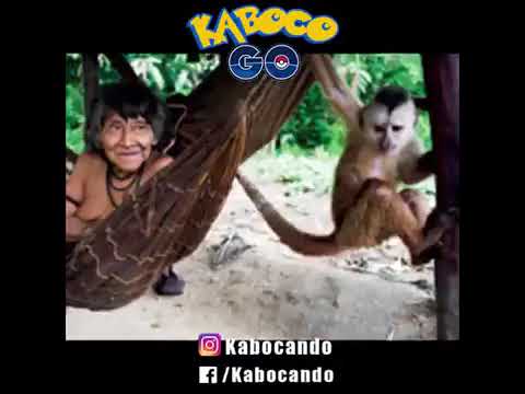 caboquinho do zap de roraima