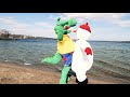 GRR20900478 Video 1