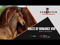 Waltz of Romance VRB
