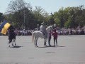 Генерала на параде в Харькове чуть не сбросила лошадь (9 мая 2013) 