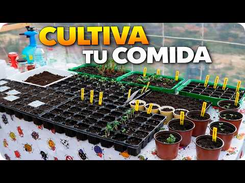 Summer Seed Starting: La Huertina De Toni's Method