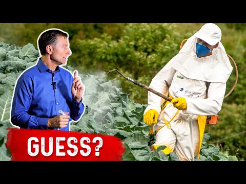 The Truth About Nonstick Cookware Teflon