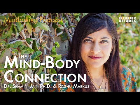 The Mind-Body Connection with Shamini Jain, Ph.D and Raghu Markus -  Mindrolling Ep. 491