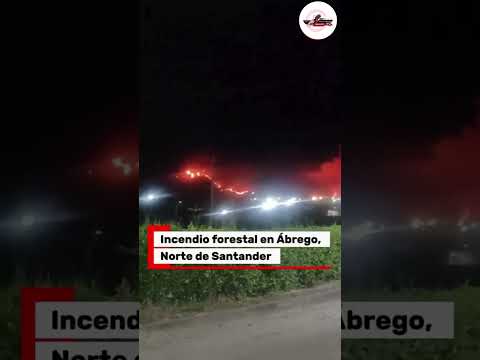 Emergencia en Norte de Santander Incendio forestal fuera de control arrasa más de 1 200 hectáreas en