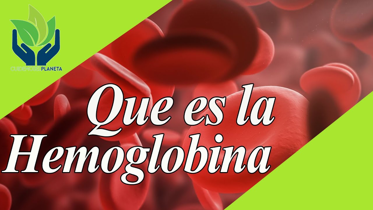 Hemoglobina: qué es, cómo funciona, valores...