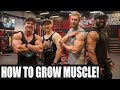 What ACTUALLY Builds Muscle Tissue?