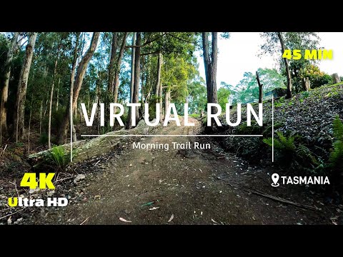 Virtual Run Mt Wellington / Kunanyi, Trail Run 4K - Treadmill Workout - Virtual Run Scenery Tasmania