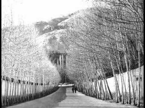 i love tehran-iran (www.tehran-song.blogfa.com