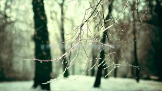 Losing You - Sarah West Español