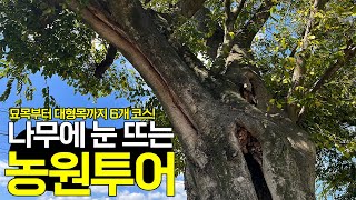 나무시장 연구소 농원투어 4기 LIVE