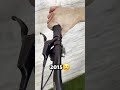 The Incredible Evolution Of Bike Shifters A Journey Through Time ‍ ️