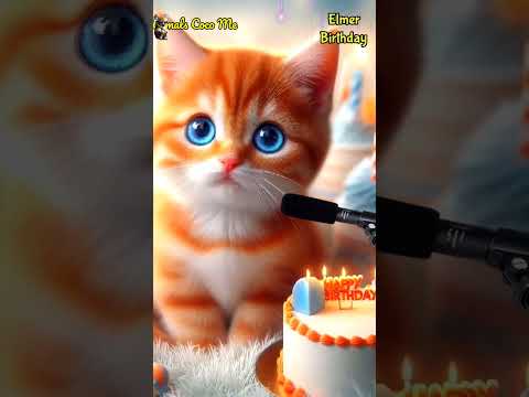 ELMER BIRTHDAY | HAPPY BIRTHDAY SONG WITH NAMES | Adorable Cute Cat 😺 #cat #cute #happybirthday