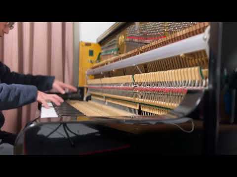 1981 Wagner Piano (Japan) ROSLAU Music Wire + RENNER Hammerheads