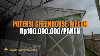 Download lagu INVESTASI CERDAS! Bisnis Greenhouse Melon dengan Sistem Fertigasi Tetes | Peluang Besar di 2025! mp3 Download lagu INVESTASI CERDAS! Bisnis Greenhouse Melon dengan Sistem Fertigasi Tetes | Peluang Besar di 2025! mp3