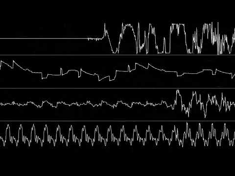 Coma - "The Tribe" (Amiga MOD) [Oscilloscope View]