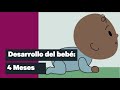 Desarrollo del bebé: 4 Meses