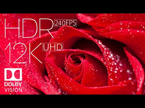 WORLD MOST BEAUTIFUL FLOWERS IN 12K HDR 240fps DOLBY VISION with Instrumental Music