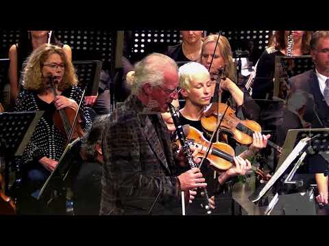 Željko Milić & Symphony Orchestra - Concertino for Clarinet and Orchestra (A. Grgin)