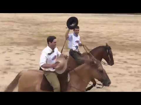 Freio de Ouro 2016 Harmonia Temprano - Prova de Mangueira e Paleteada