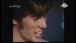 BEE GEES BIrdie told me