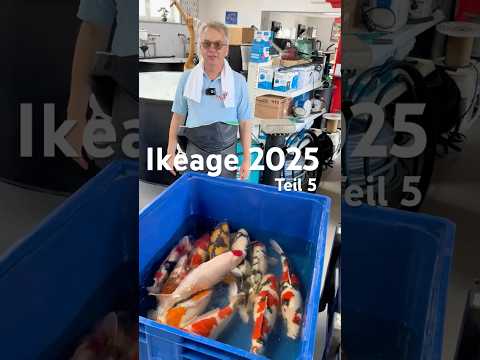 Ki Utsuri Umsetzung Teil 5