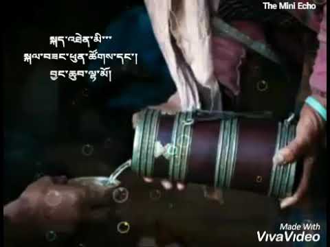 Aulay Gogo lyrics - kezang phuntso & Jangchuk Lamo