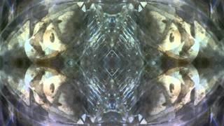 Ozric Tentacles: Pretty saucers