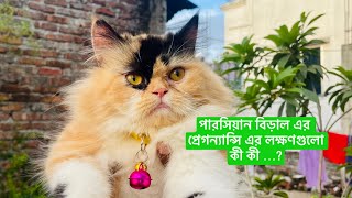 পারসিয়ান বিরাল এর প্রেগন্যান্সি এর লক্ষণগুলো কী ? Persian cat pregnancy symptoms. #cat #fyp #viral