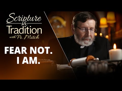 Scripture and Tradition with Fr. Mitch Pacwa - 2023-02-14 - Praying with the Gospels - Jmg Pt. 27