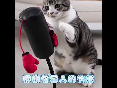 https://img.youtube.com/vi/Ed_j8oMbC5o/0.jpg