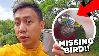 EMERGENCY! Our Parrot Escaped and is Missing! 😱 | Vlog #1783