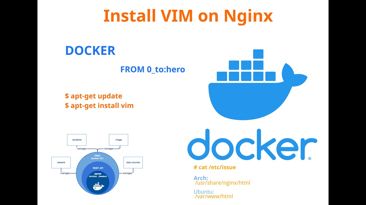 07 - Install vim on nginx  .docker tutorial