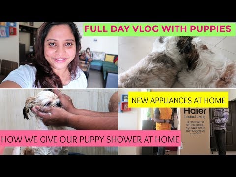 How To Bathe Your Shih Tzu Puppy | A Full Day Vlog With My Puppies | New Appliances At Home Video