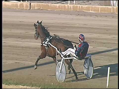 Trotto 17/03/2017 - 3ª corsa