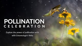 Varsity Tutors' StarCourse - A Celebration of Pollination Presented by Abby Lehner