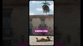 #cuba is maybe the safest place on earth fyi