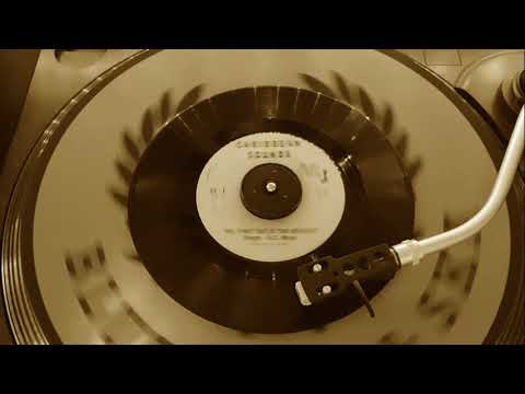 K.C White - The First Cut is the Deepest