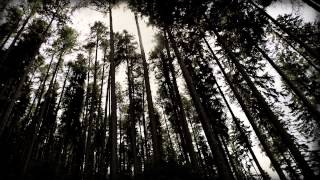 Maria Neckam: I Miss You (official music video)