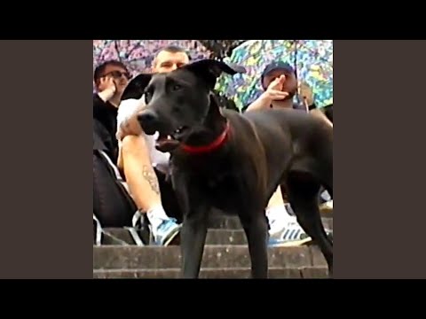 JOBCENTER (feat. Asbeluxt)